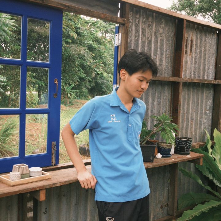 พอมอฟีฟาย