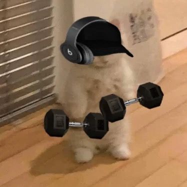 trendvault