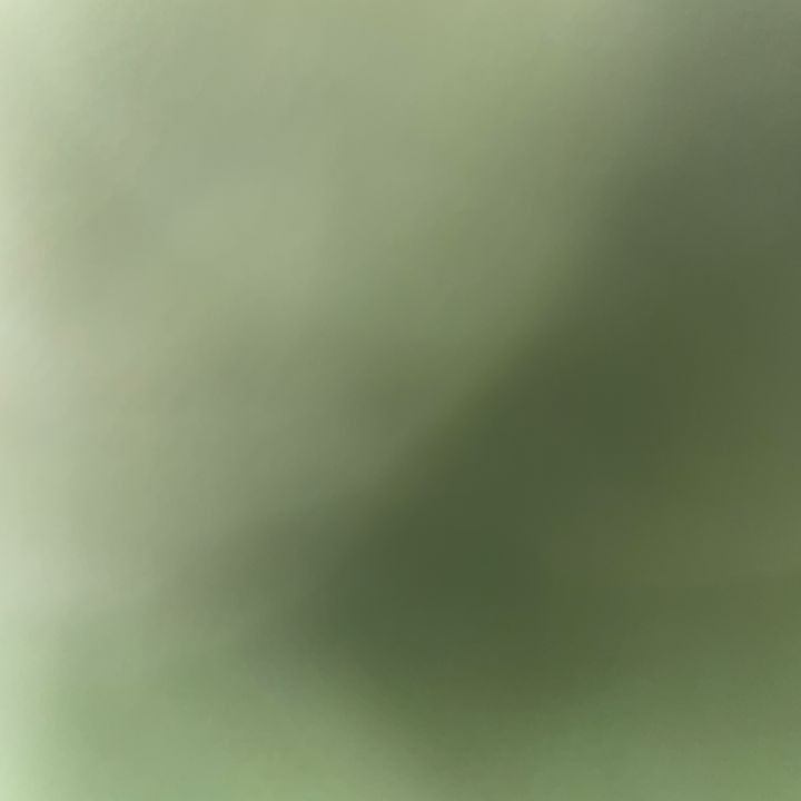 てぶくろ