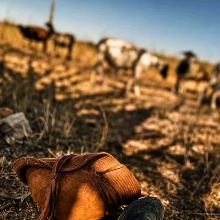 cortes de comédia