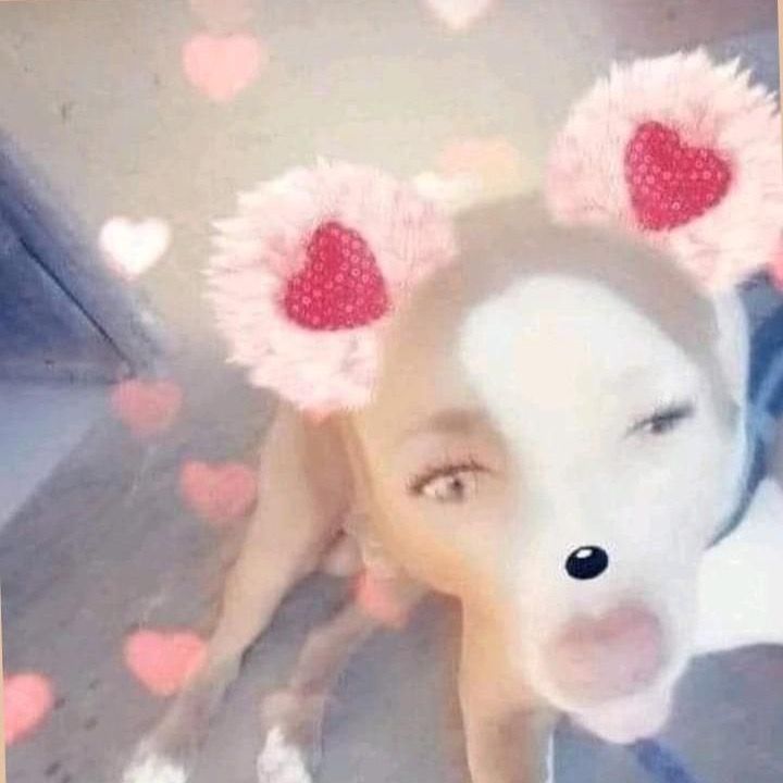 777ggil