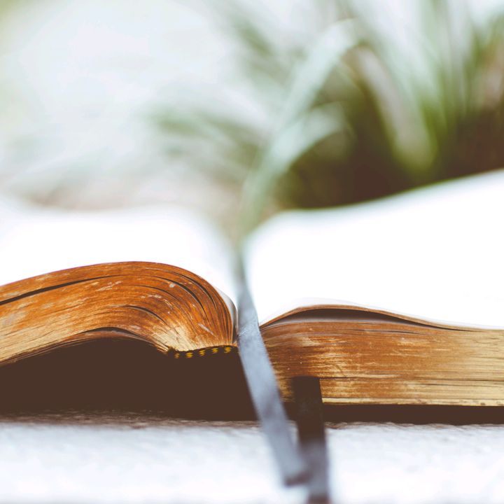 She Walks in Faith