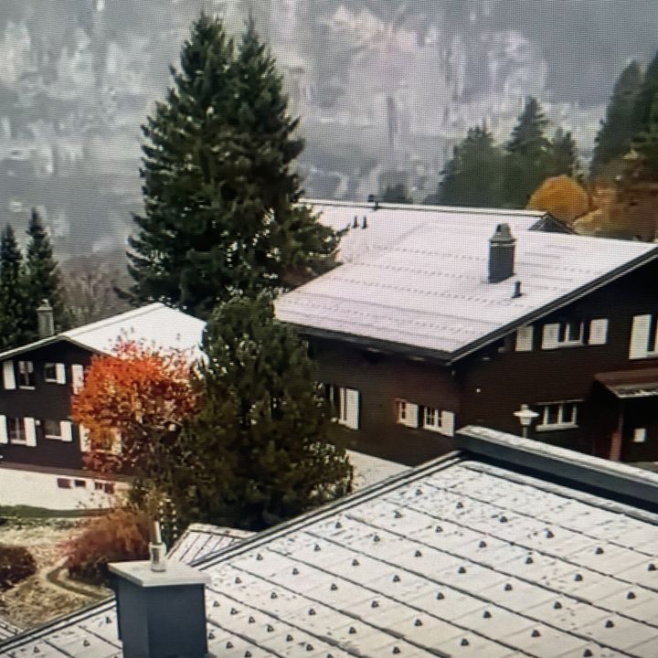 Camp