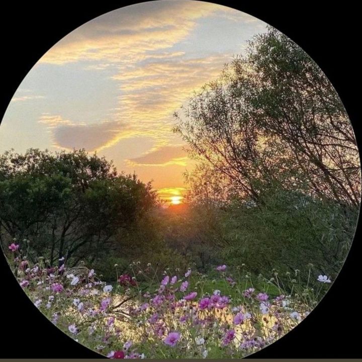 Petal&Plate
