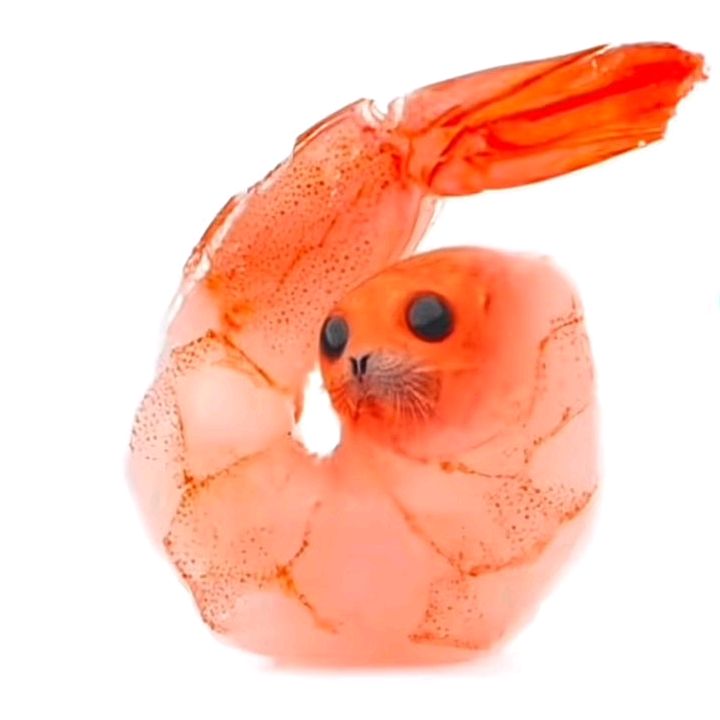 𝓥𝓲𝓬𝓽𝓸𝓻𝓲𝓪