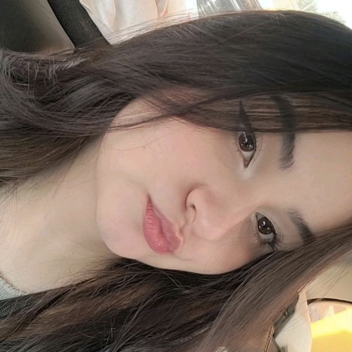 Anyzinha 🦎