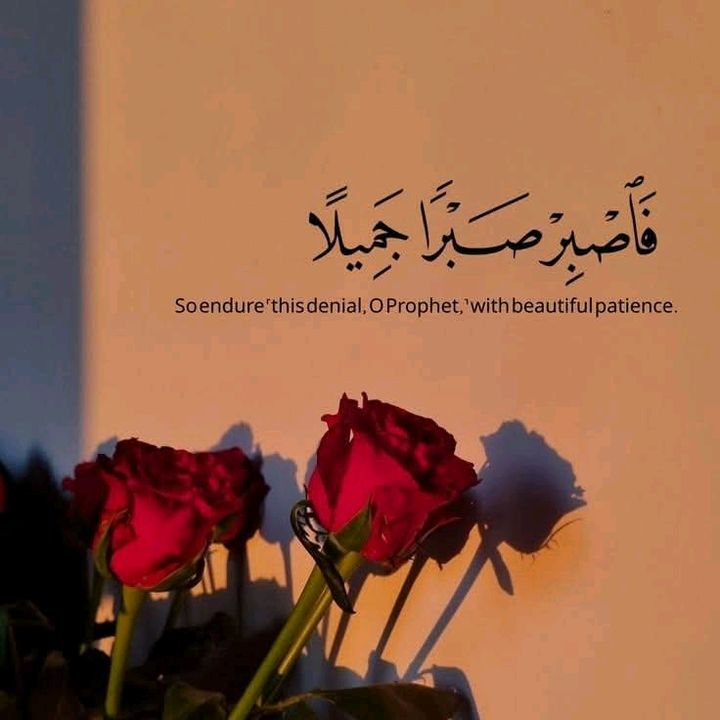 ♡سٰــ⃪⃪وࢪࢪ̶َيـهۃِ.♡