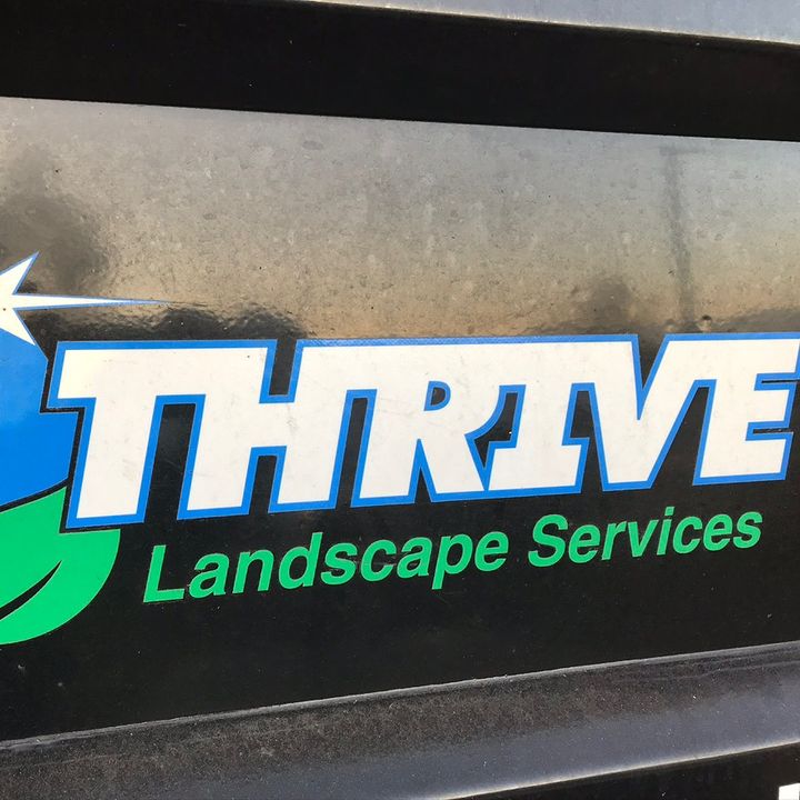 Time2THRIVE