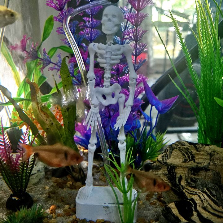 Gene sKelly