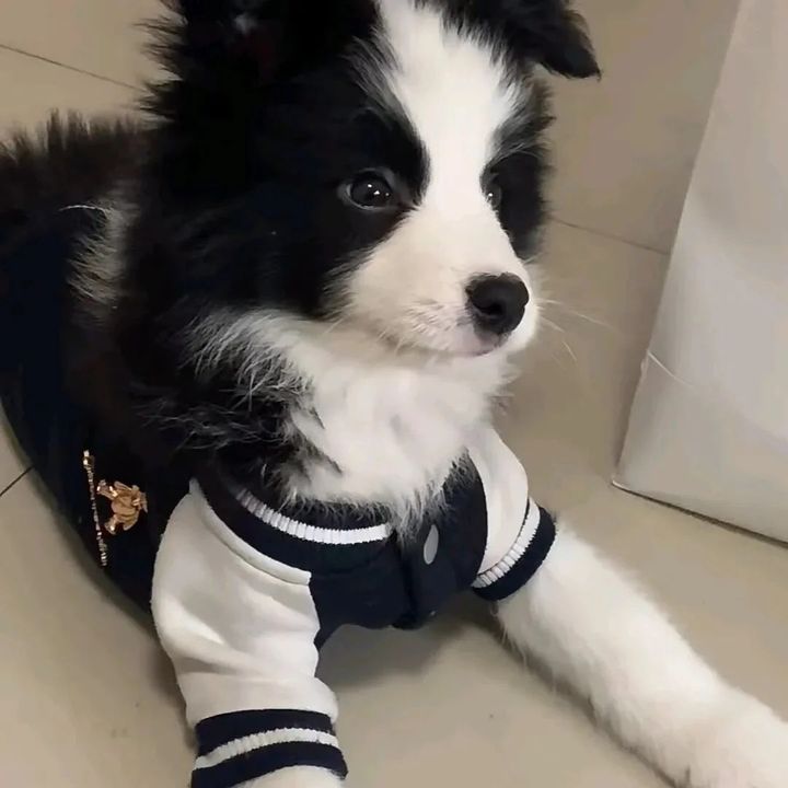 iuiuhhhjj
