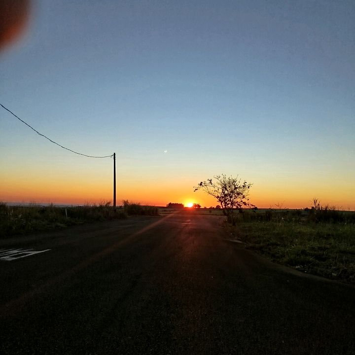 Canções do Reino