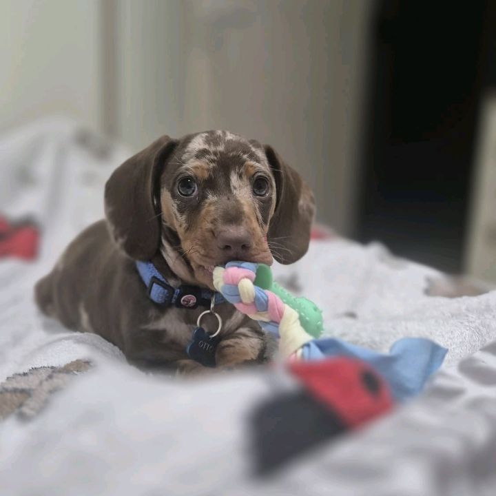 fabio&otto
