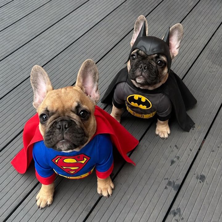 🐾 Mabel&Ruby 🐾