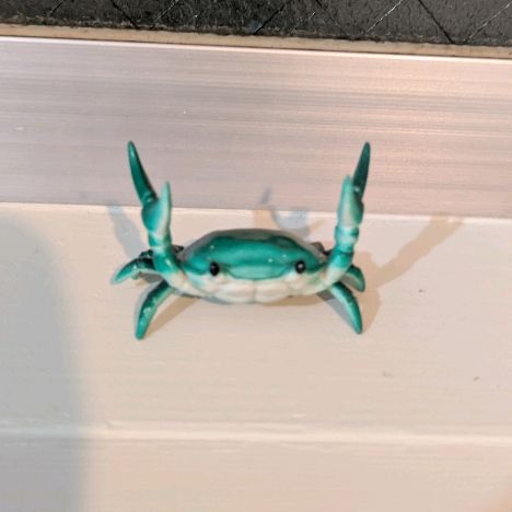 おすすめ人間とカニ
