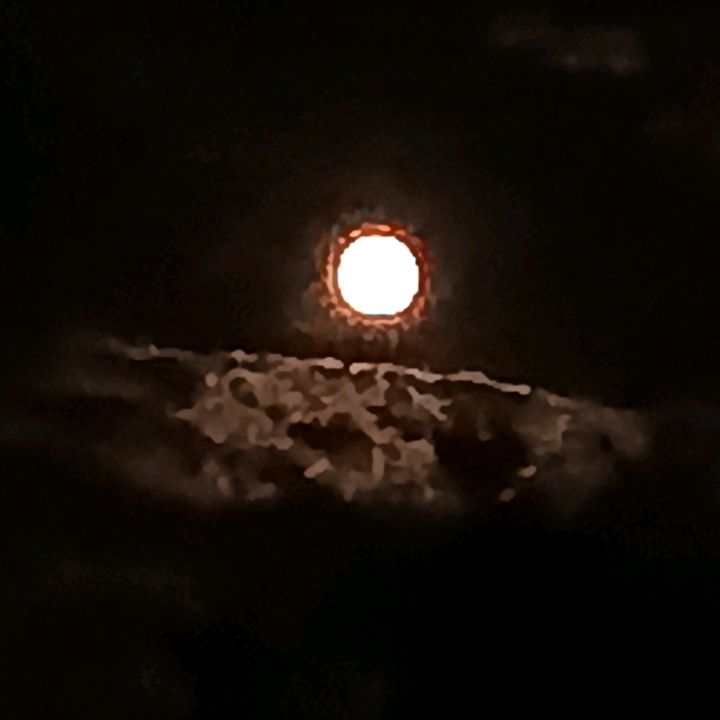 infiltré 🌑