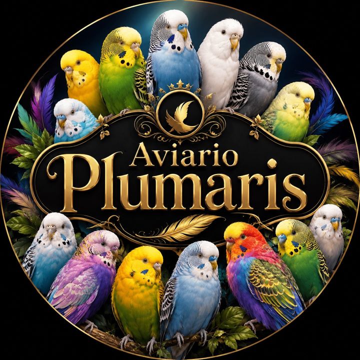 Aviario Plumaris