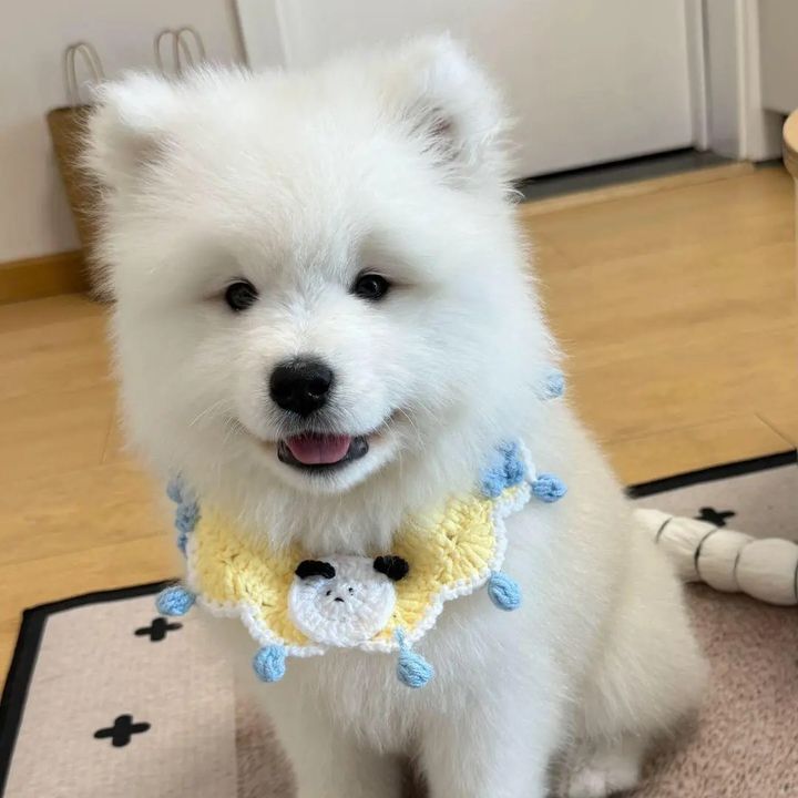 iejguu5