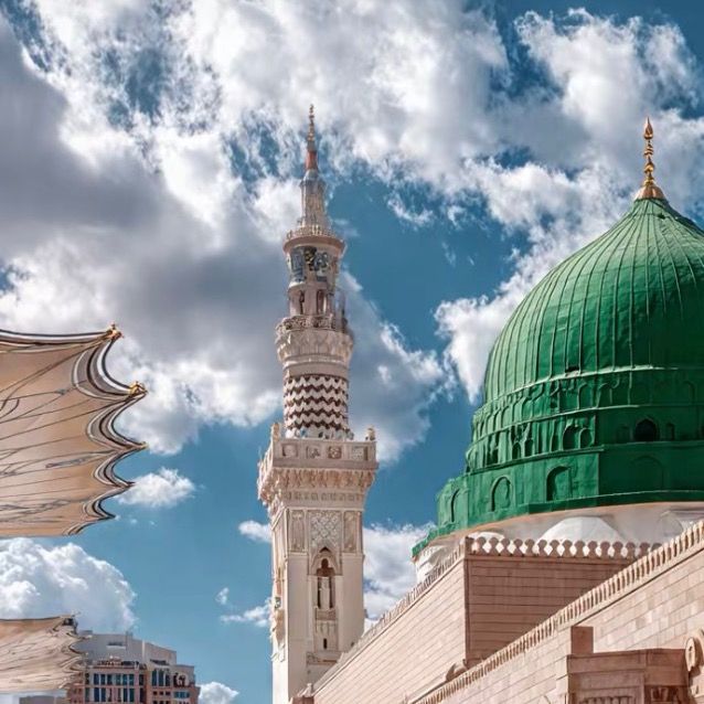 Macis