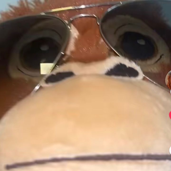 Punchiii