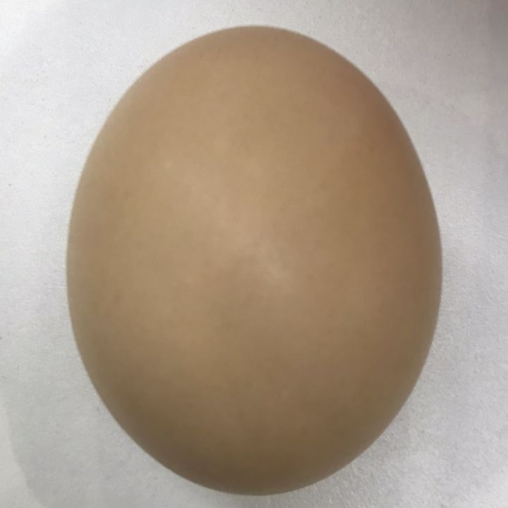 elsker