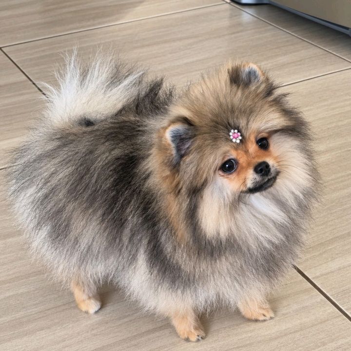 June Spitz