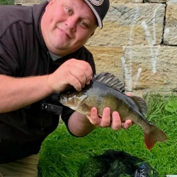 BigPfishing