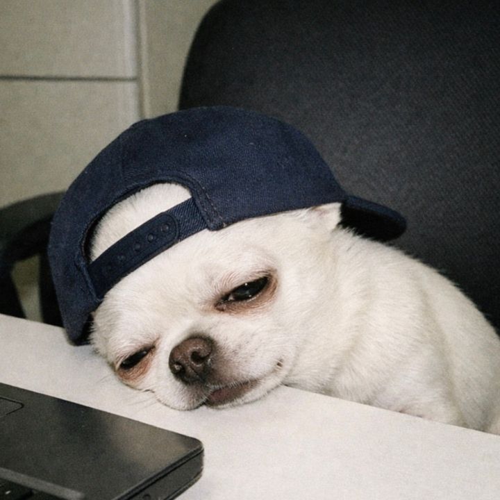 hatdog