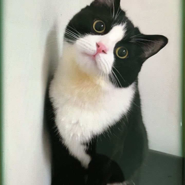 pfkjrr