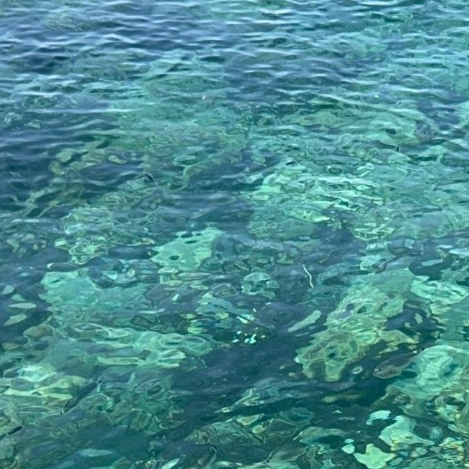 PaulitaIbiza
