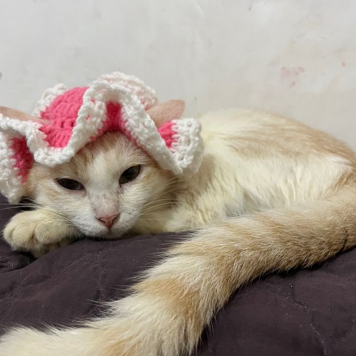 Binxy.Binxy