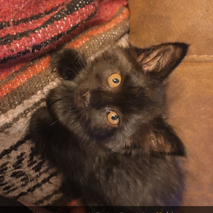 BabyBeulah