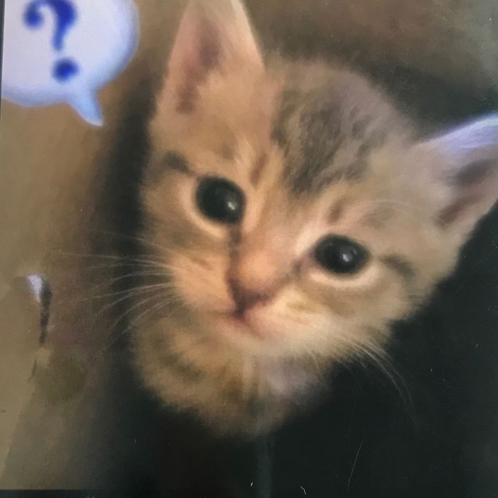 kaelen