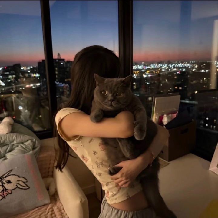 シルクリスタちゃん💎