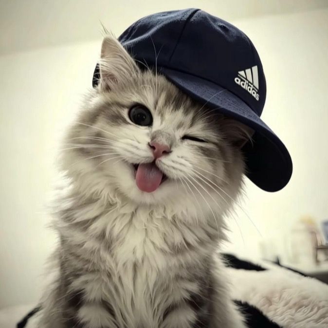 Baby