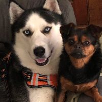 baltoandchewy
