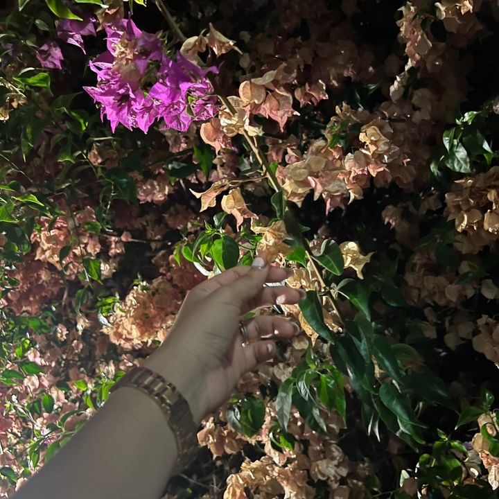 Through My Eyes