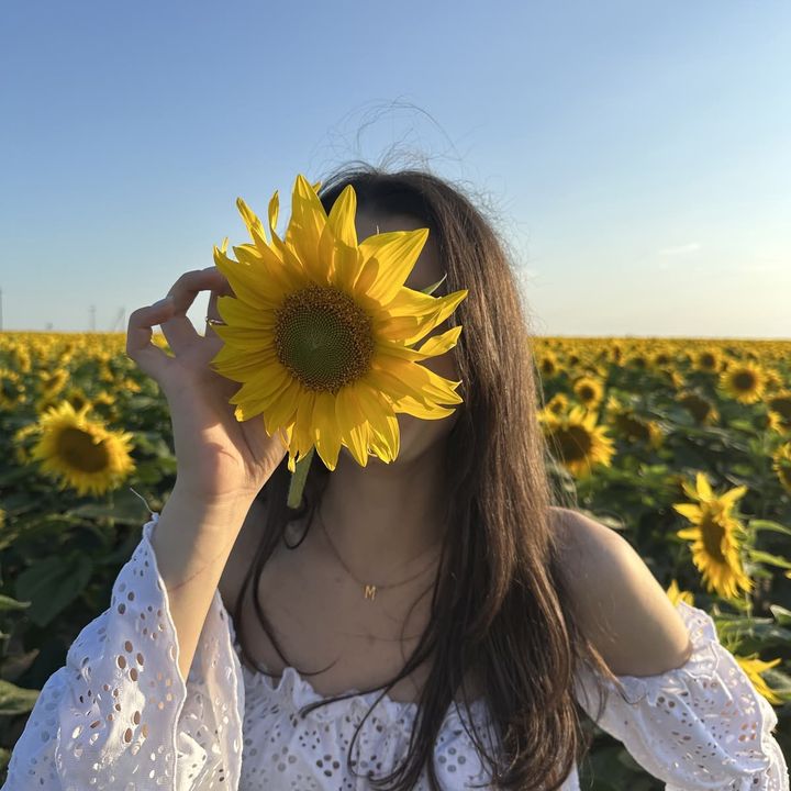 Entre Girasoles
