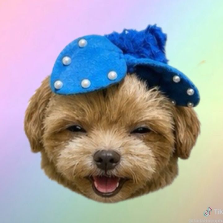 Einjay