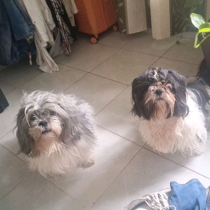 Cami y Lucre 🐶