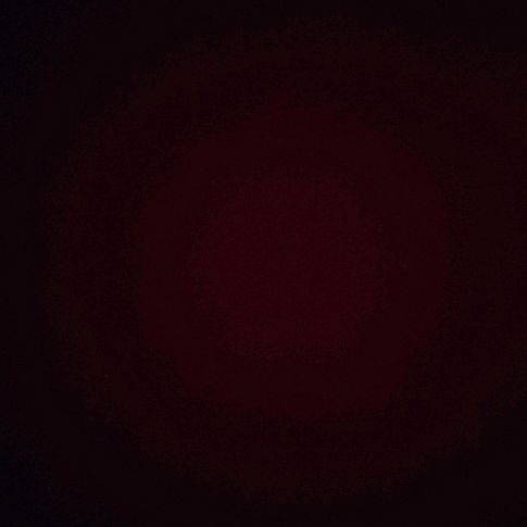 ☾ 𝑺𝒖𝒆𝑷𝒆𝒓𝒅𝒊𝒅𝒐