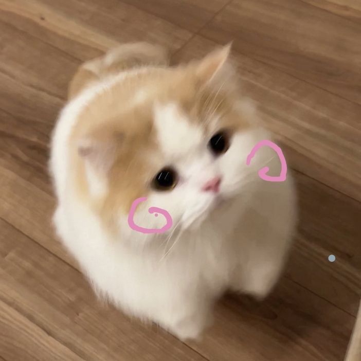 มันม่วงงงงงงงง