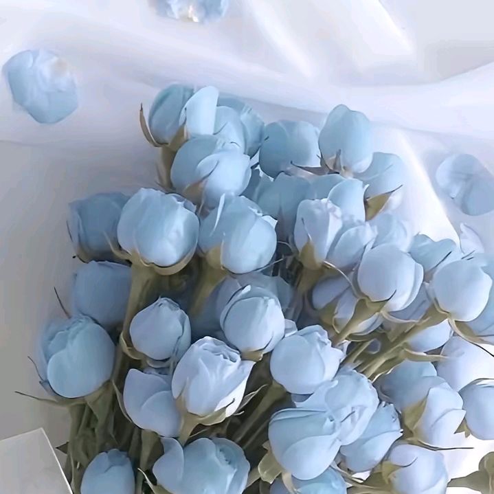 ayyaaa _262