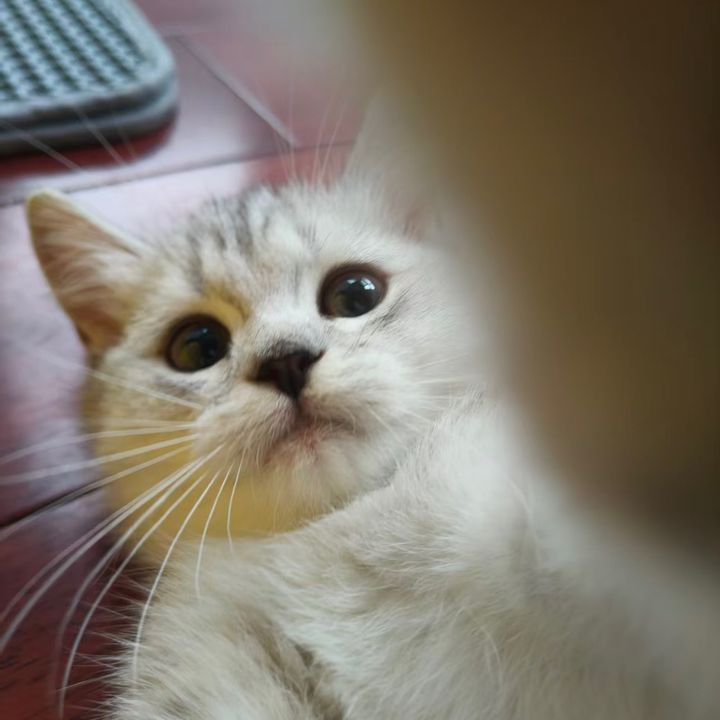 zhgieq8yls