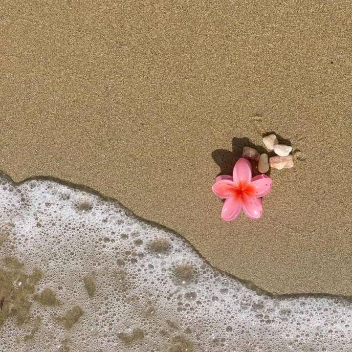 dreamiee 𝜗𝜚