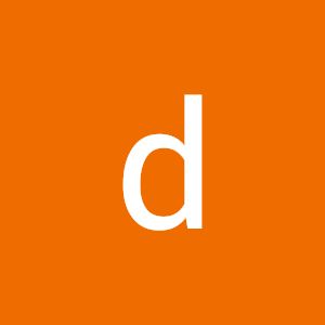 disan11