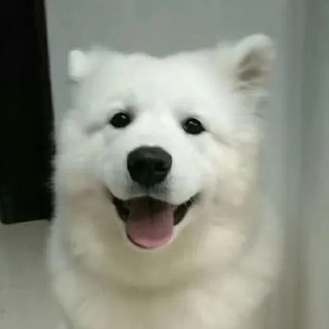 coyxcxjc2fh
