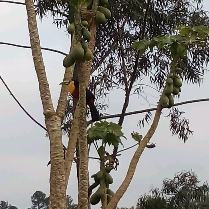 vendas rápidas