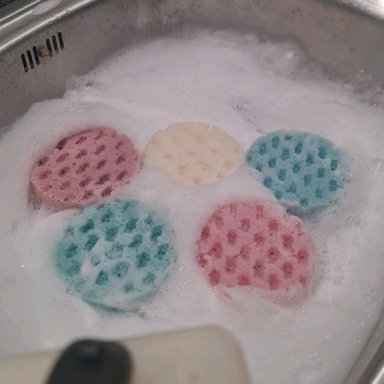 Sponge Bestie