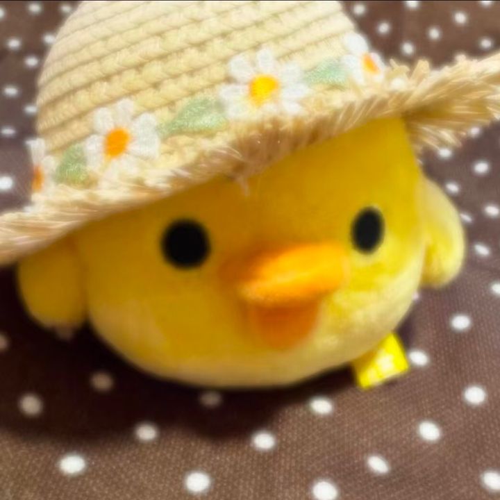 頼れる黄鶏