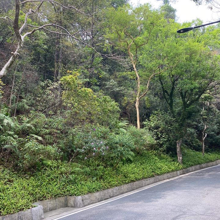 Kainat
